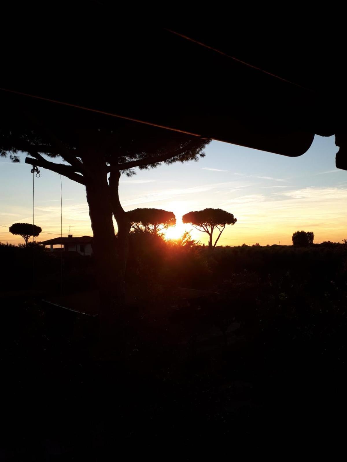 Podere Serena Castagneto Carducci Extérieur photo