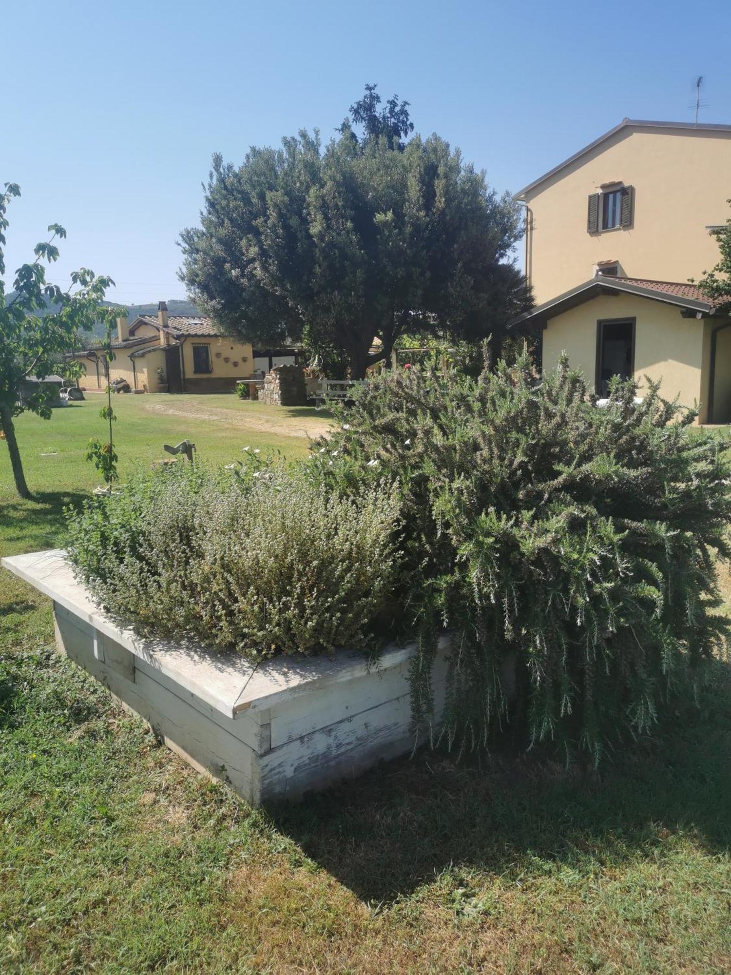 Podere Serena Castagneto Carducci Extérieur photo