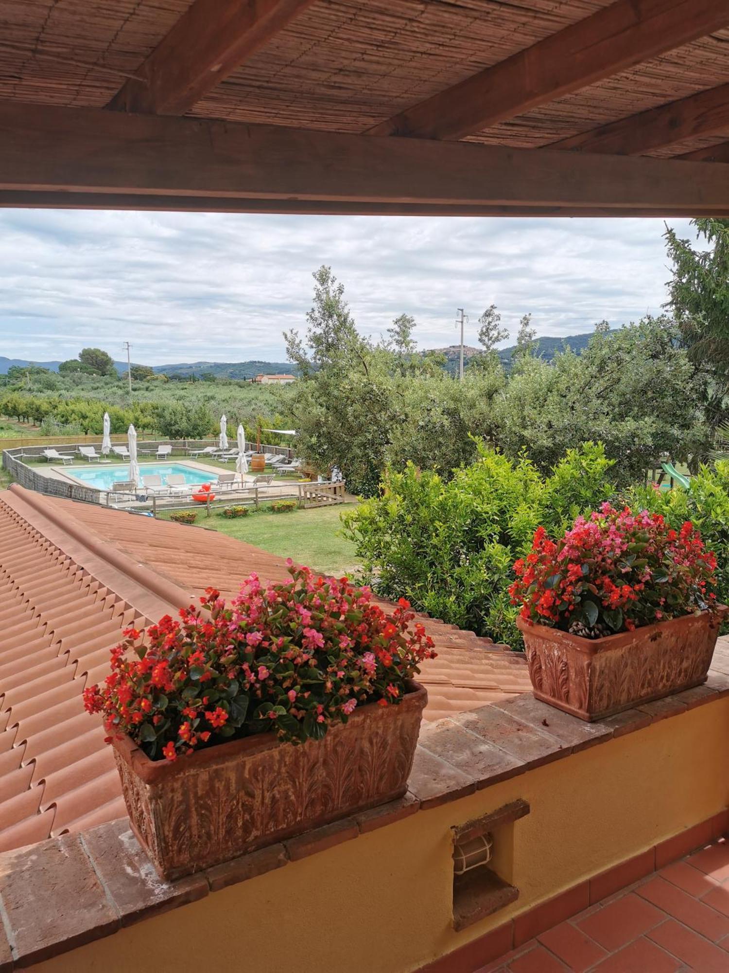 Podere Serena Castagneto Carducci Extérieur photo