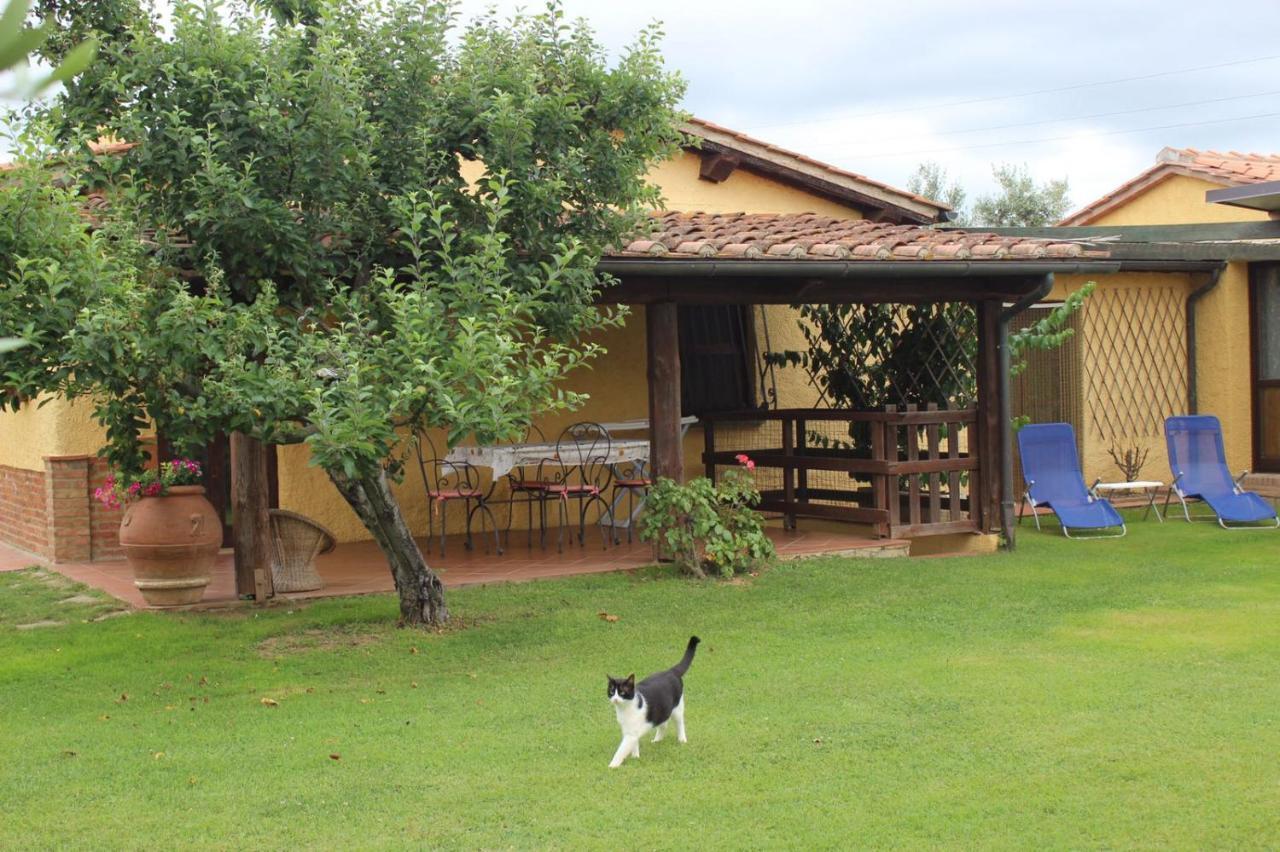 Podere Serena Castagneto Carducci Extérieur photo