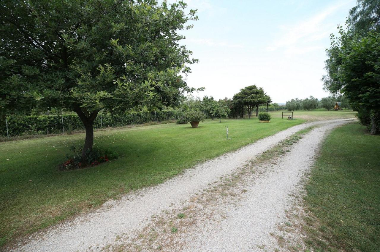 Podere Serena Castagneto Carducci Extérieur photo