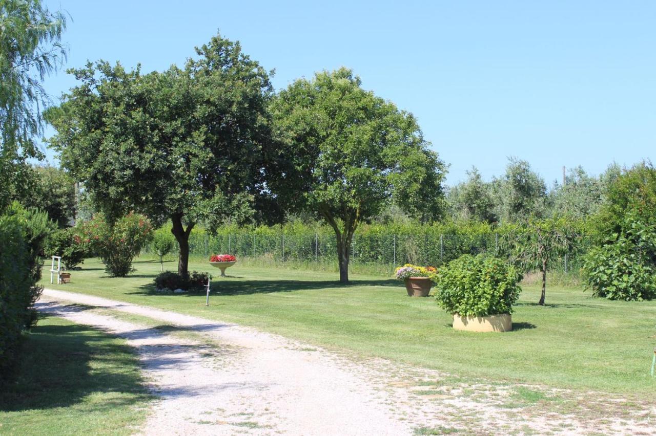 Podere Serena Castagneto Carducci Extérieur photo