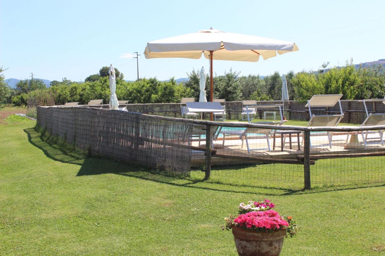 Podere Serena Castagneto Carducci Extérieur photo
