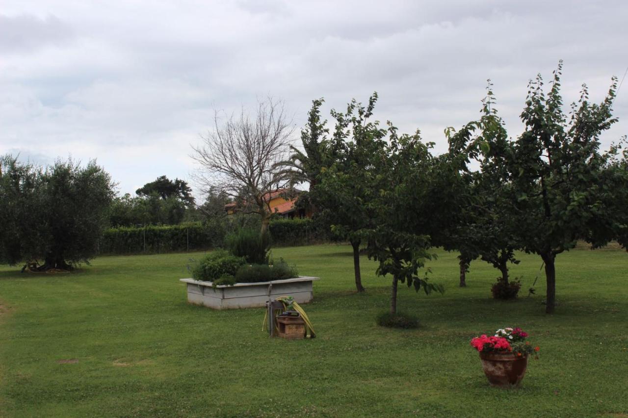 Podere Serena Castagneto Carducci Extérieur photo